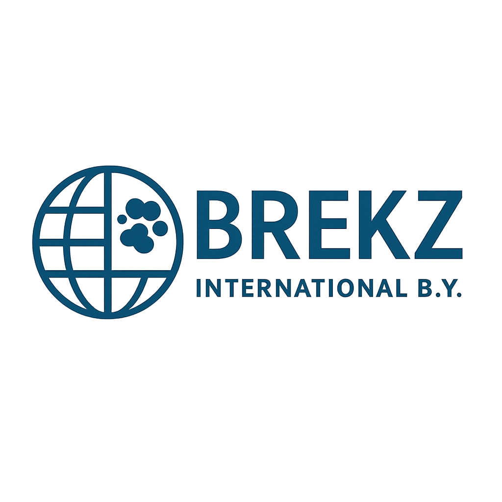 Brekz International Logo